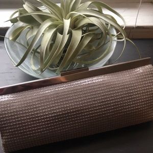 Calvin Klein Purple Clutch